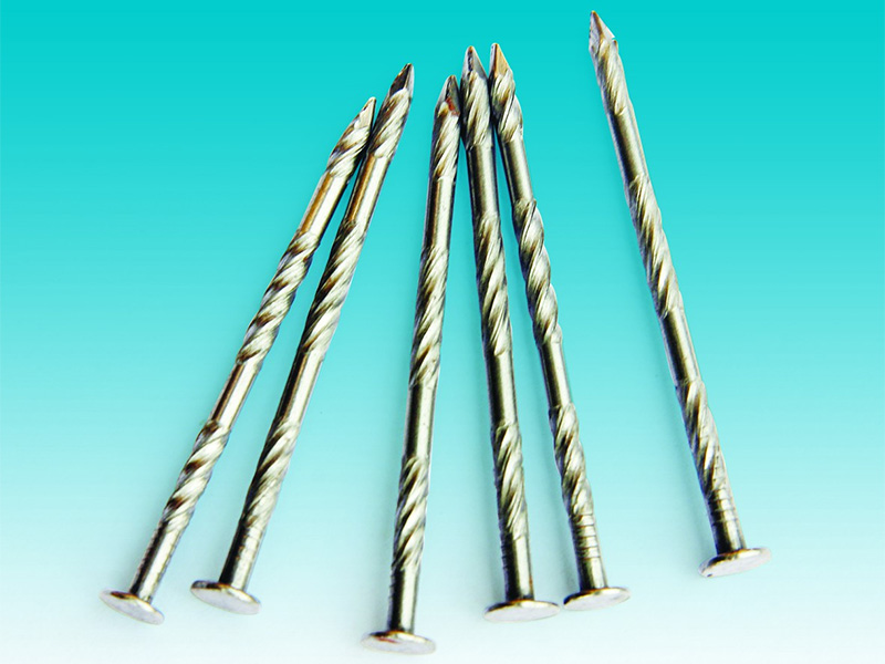 Rustfritt stål Twisted Ground Nails
